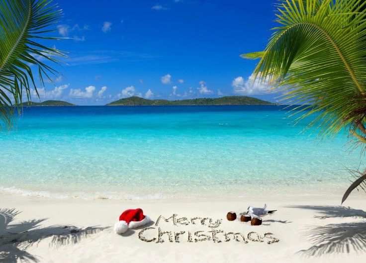 Christmas in the Tropics -Sparkle Sticklebatts -Merino fleece, CAMEL, Hebridean , merino top , silk, silk noil, angelina