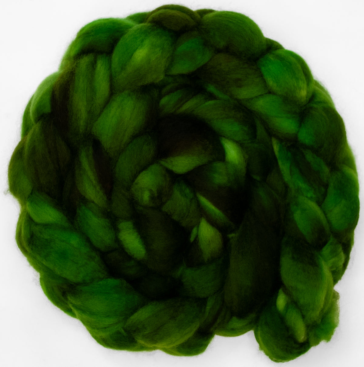 Umbrella Pine - Mongolian Wool (18 mic)