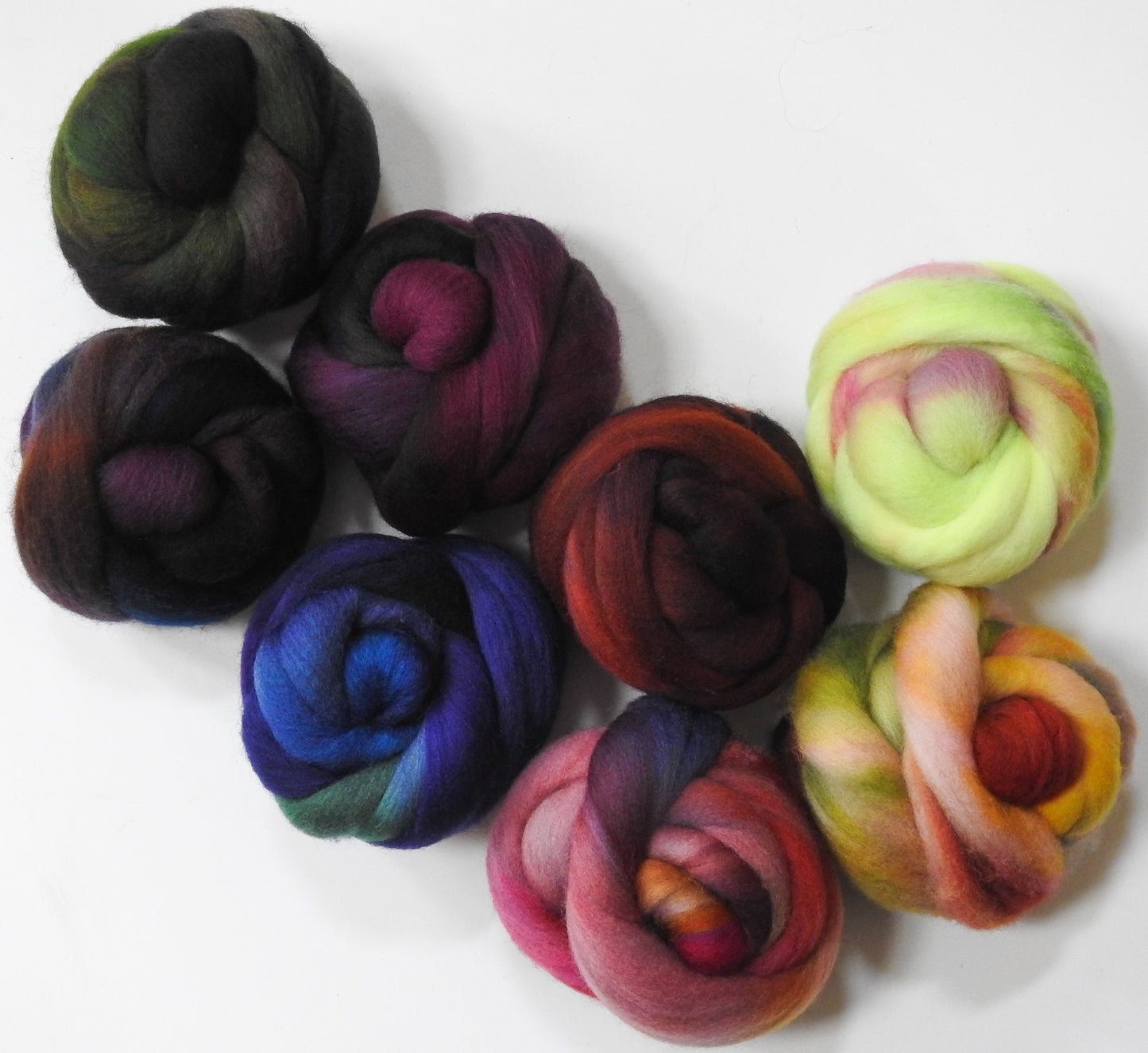 Lenten Roses - Cormo Top (23 mic.)