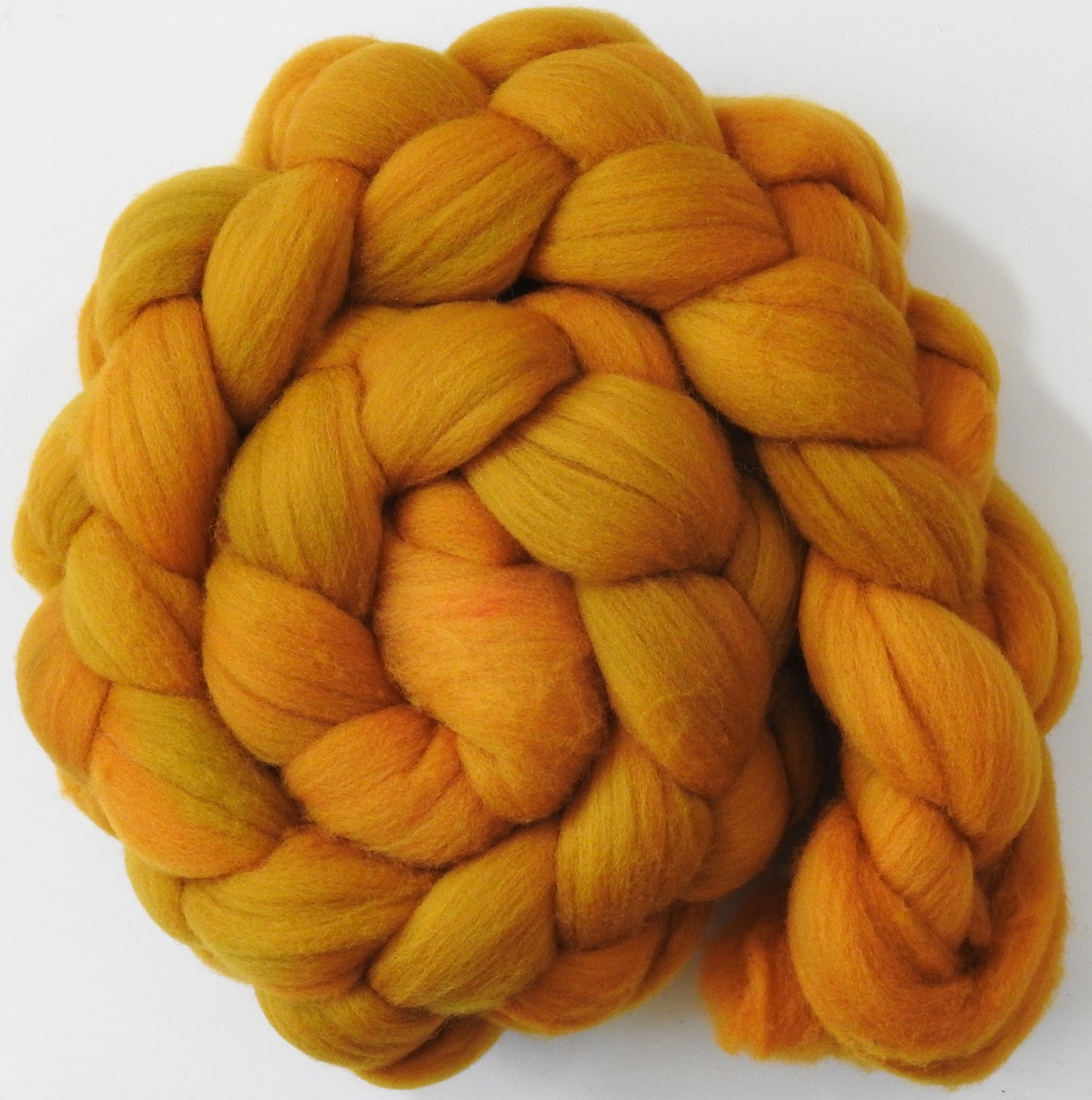 Maize - (5.5 oz) - Targhee- 23 mic