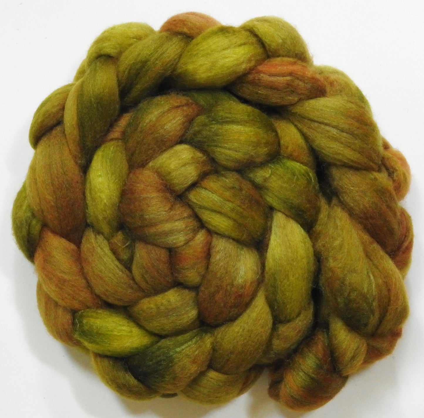 Sphagnum (5.9 oz) - Polwarth / Tussah silk (85/15)