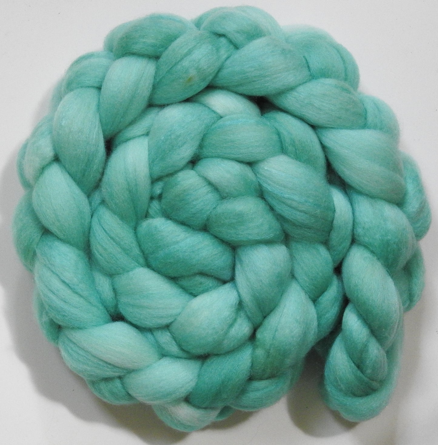 Robin's Egg (5.7 oz) - Polwarth / Tussah silk (85/15)