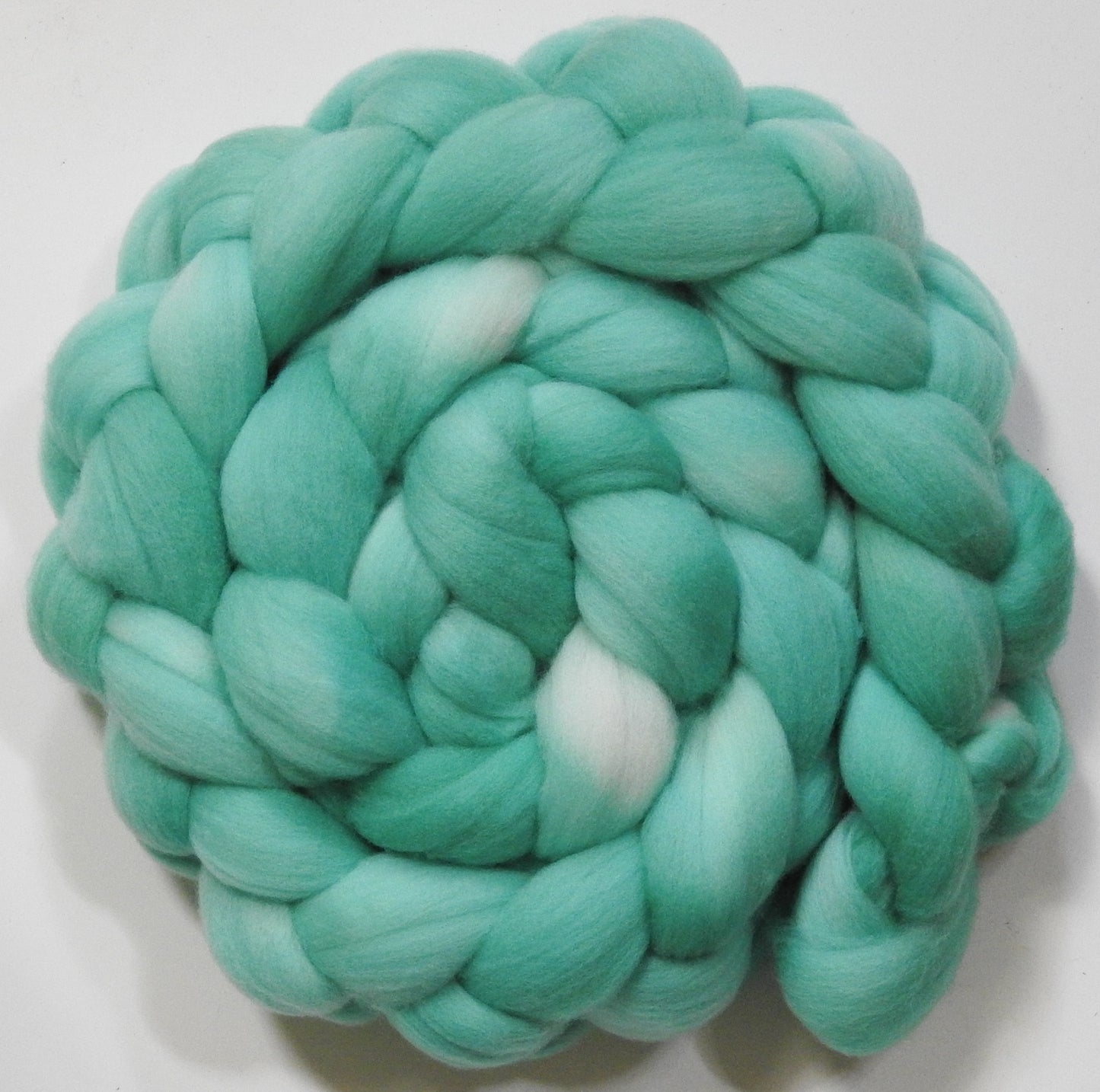 Robin's Egg (5.7 oz)- Shaniko Wool (20 micron)