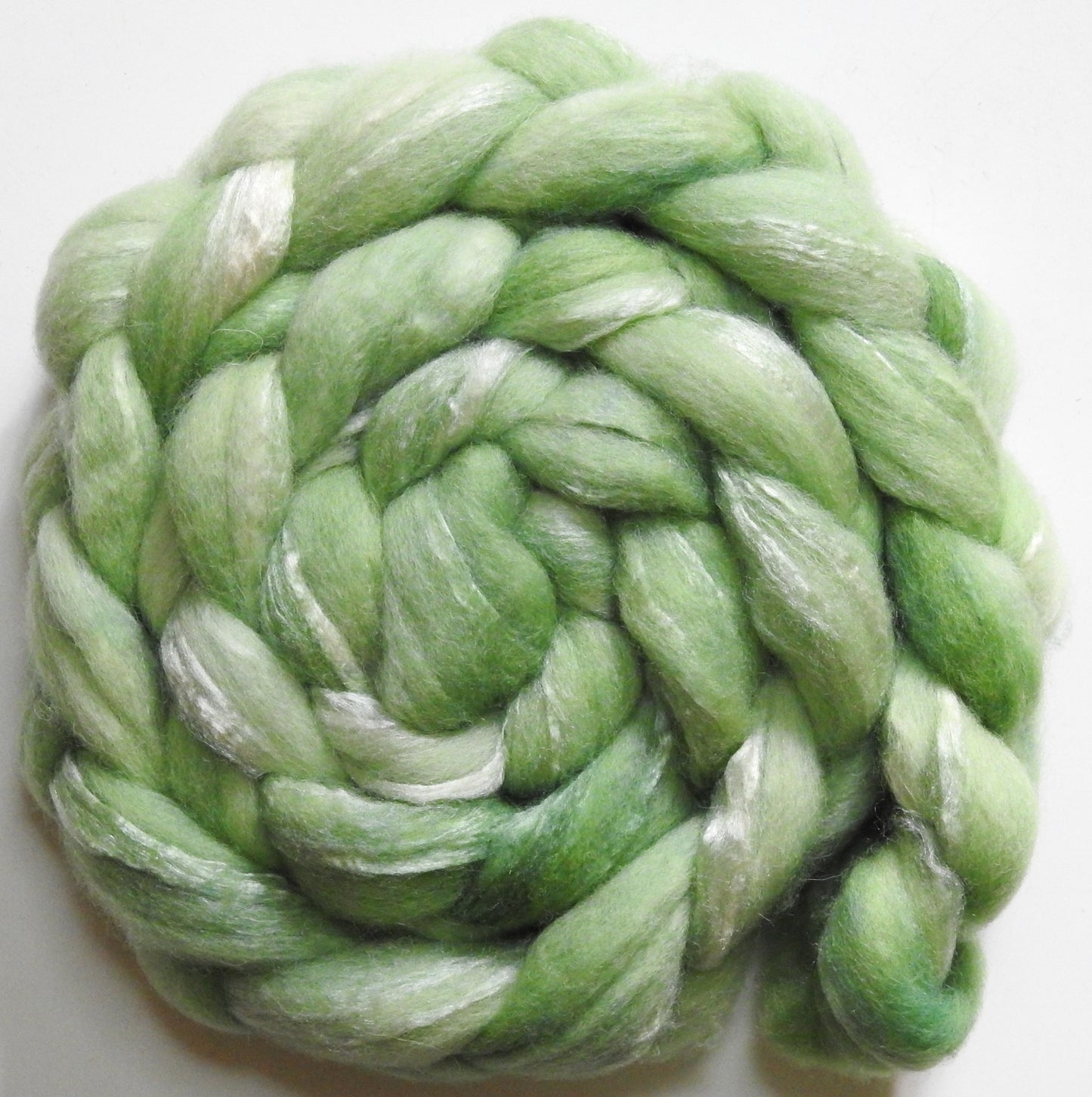 Aloe (5.9 oz) - Shetland/ Tussah Silk (70/30)