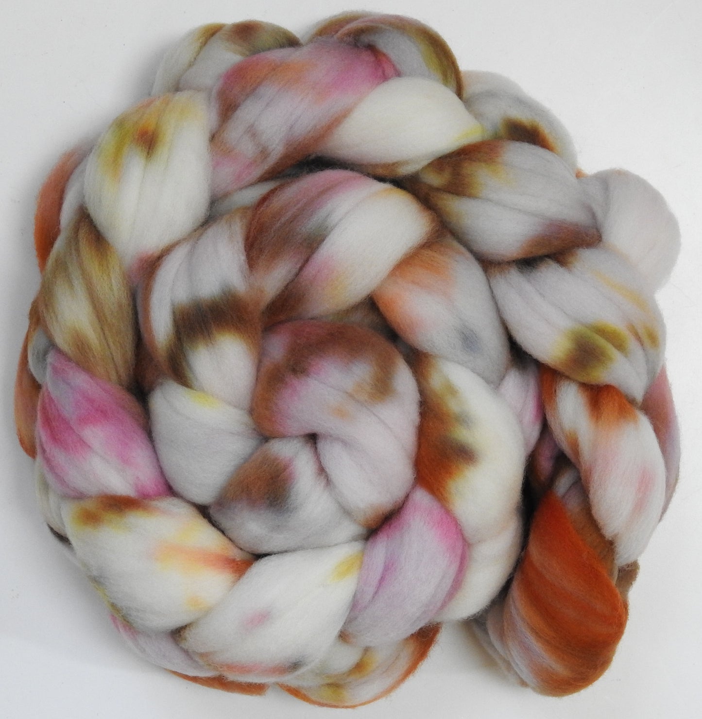 Cockleshells - (5.6 oz)Targhee- 23 mic