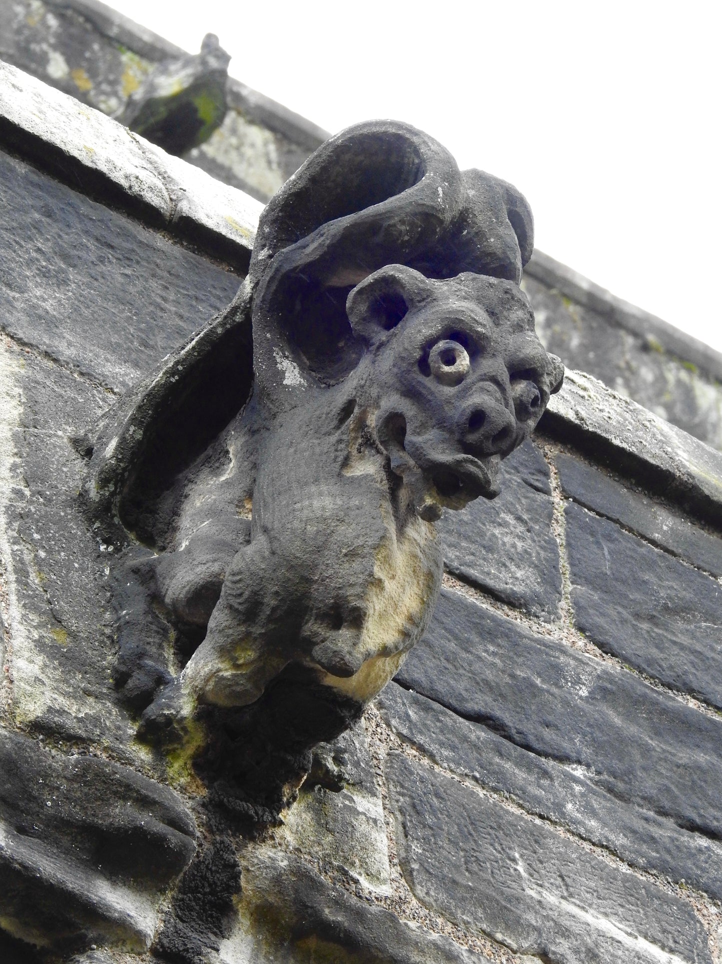 Gargoyle - Cashgora - white