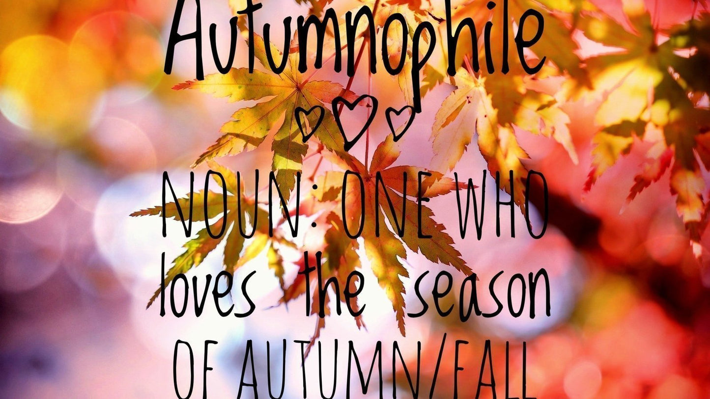 Autumnophile - Gradient Set - (11.3 oz) - Rambouillet/tussah(80/20) (Copy)