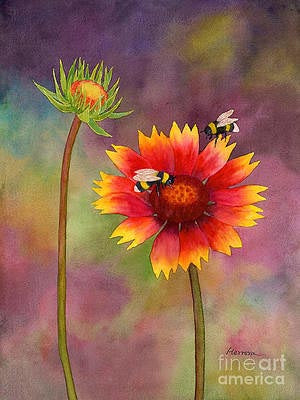 Flight of the Bumblebee (11 oz) - Cormo Top (23 mic.)