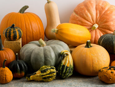 Gourds - Dyed Gradient Set - Polwarth / Tussah silk (85/15)