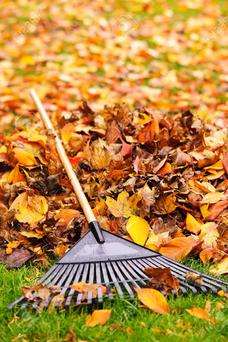 Leaf Pile - 100% Pure Cashmere