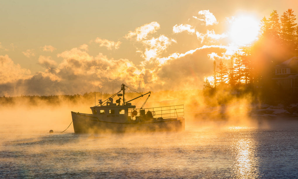 Sea Smoke - Roly-Poly Batts- 30% Nash Island fleece, merino, silk, bamboo, silk noil (angelina in sparkle batts) - Inglenook Fibers