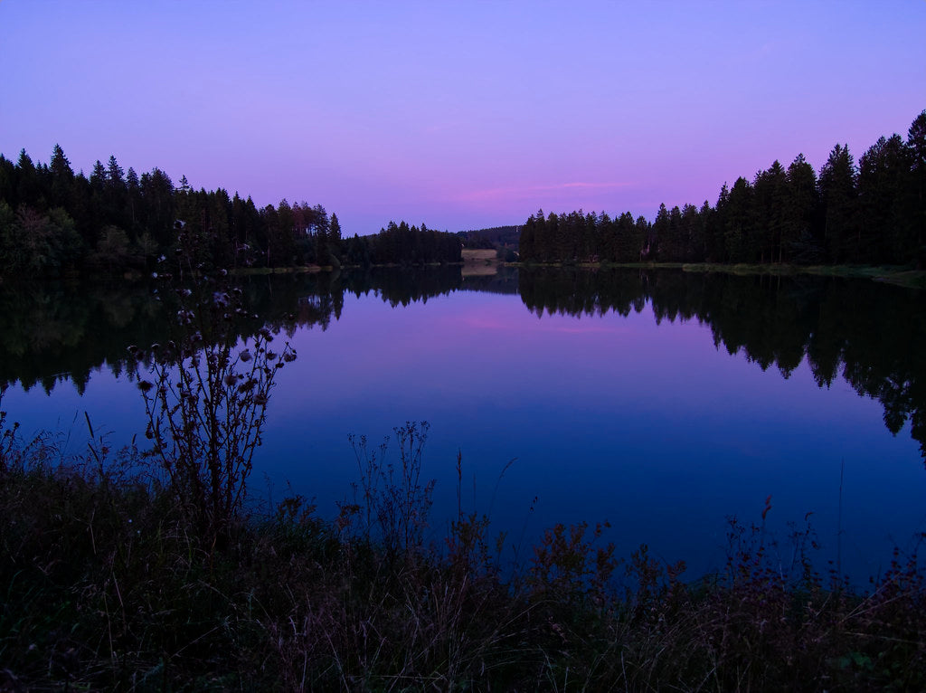 Nightfall- Fusion Series (6 oz) - Merino/ Tussah Silk/ Natural Flax (50/25/25)
