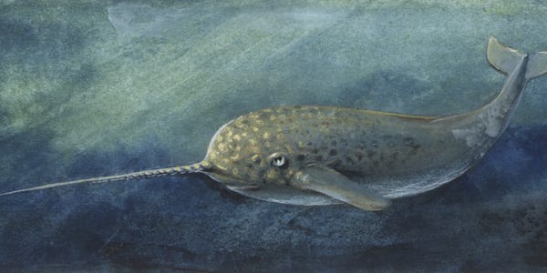 Narwhal - Merino/ Silk/ Bamboo/ Icicle Stellina (60/25/10/5)