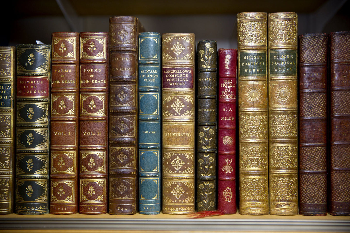 Bibliophile Blends - Brontë - Merino/ Mulberry Silk/ Black Baby Alpaca  (60/25/15)