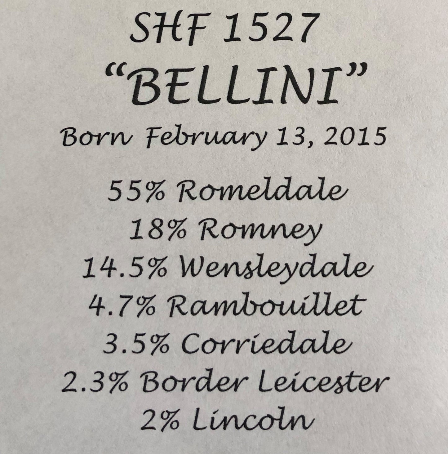 Incognito - Non-Sparkle Sticklebatts - 30% RomeldaleX fleece; merino, shetland, polwarth, silk, bamboo, silk noil