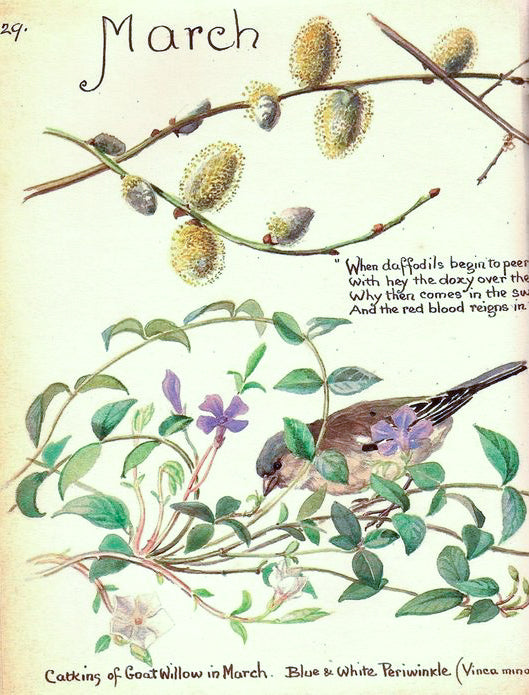 Natural Dyed Fiber Batts -March - 80% wool, 20% silk - 4.7 oz. - Inglenook Fibers