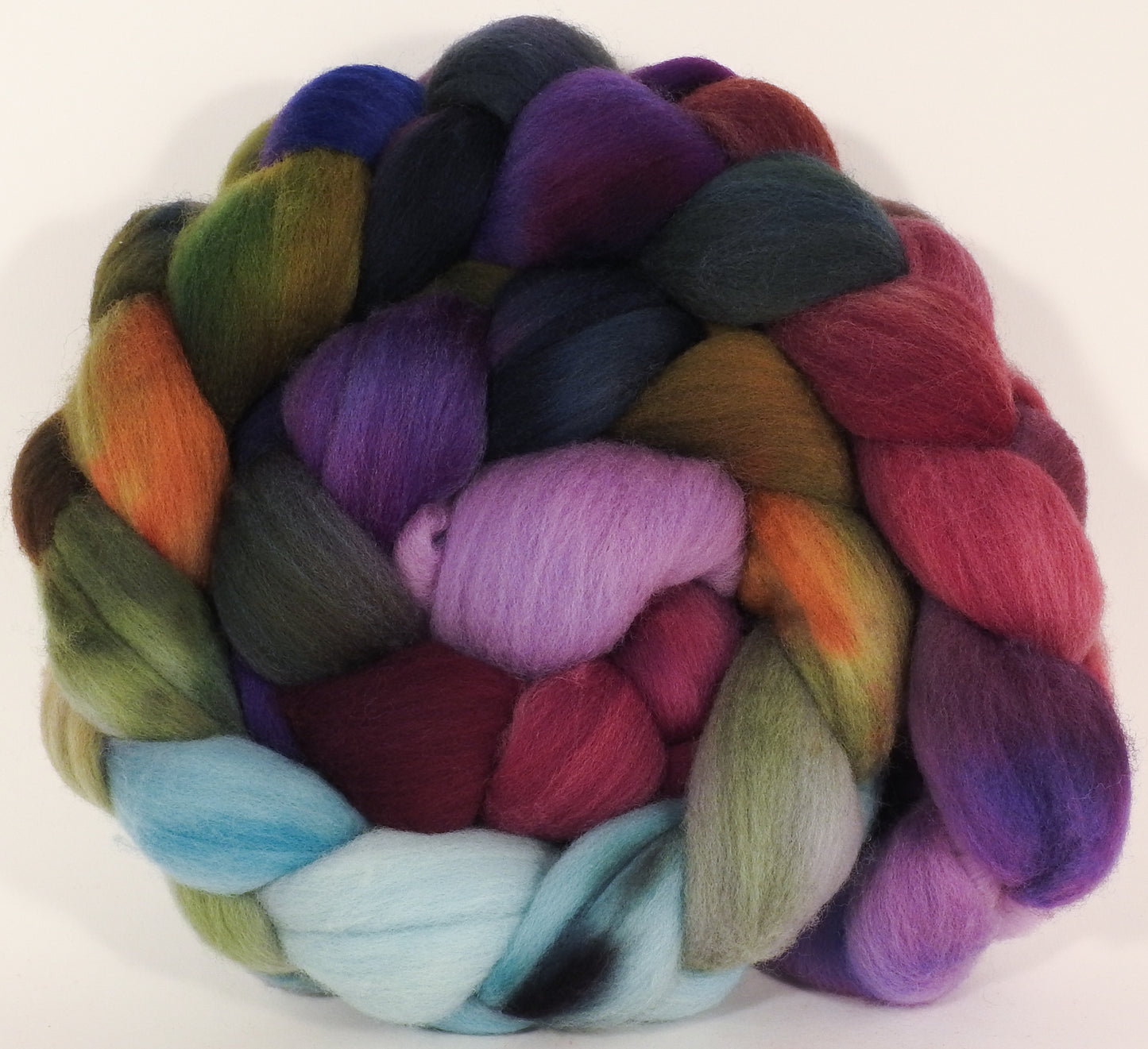 Hand dyed top for spinning - Cabbages & Kings - Organic polwarth - Inglenook Fibers