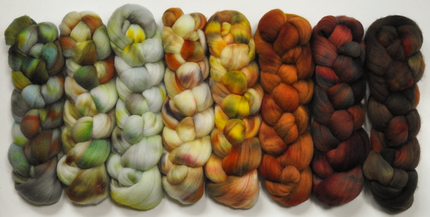 Hibernation -  Gradient Braid Set - Fusion Series- Organic Polwarth