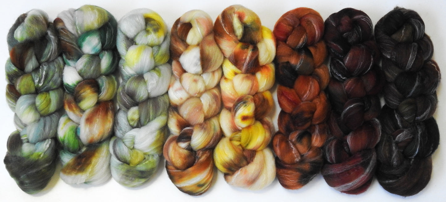 Hibernation -( 10.7 oz) Gradient Braid Set - Targhee/ Bamboo / tussah silk (80/10/10)