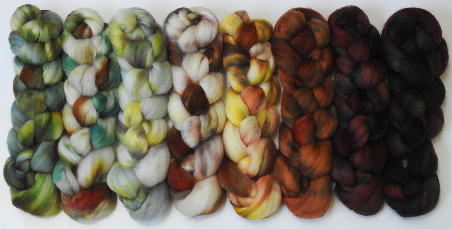 Hibernation -Gradient Braid Set - Polwarth / tussah silk (85/15)