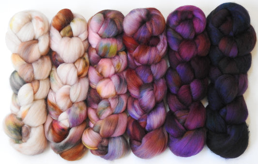 Let them Eat Cake -Gradient Braid Set - (8.6 oz.) Polwarth / tussah silk (85/15)