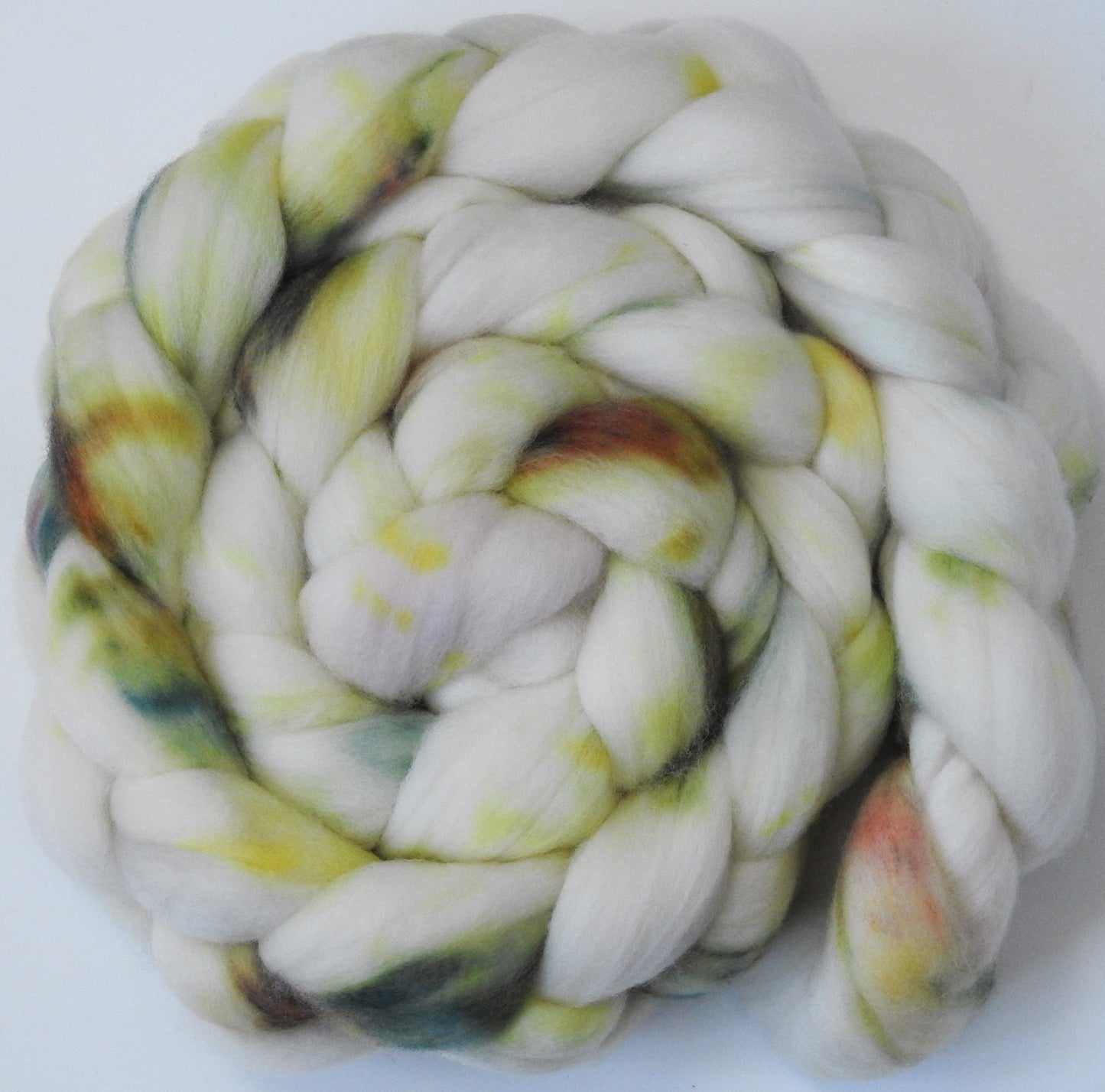 Paperwhite - (5.6 oz.) Organic Polwarth