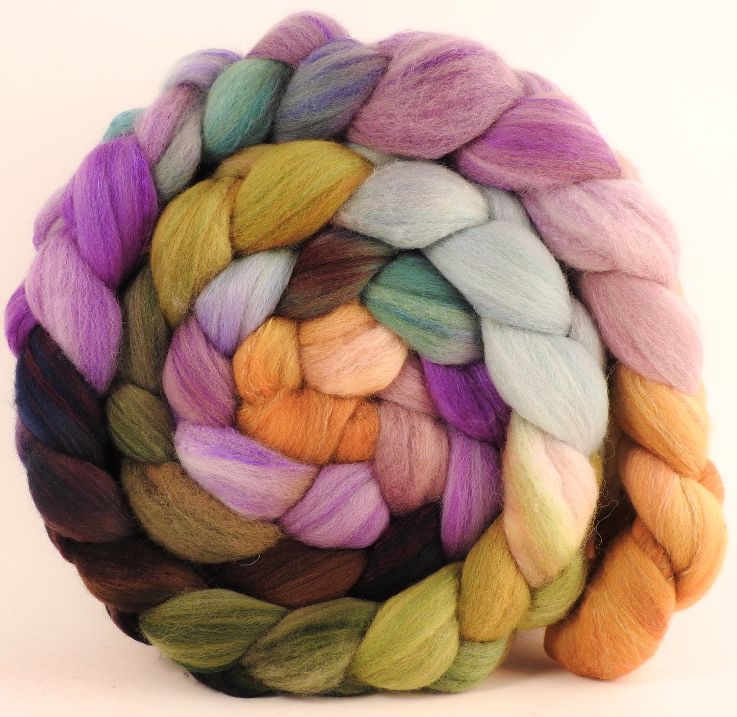 Hand dyed top for spinning - Asters - (5.8 oz) Organic Polwarth / Tussah silk (80/20) - Inglenook Fibers