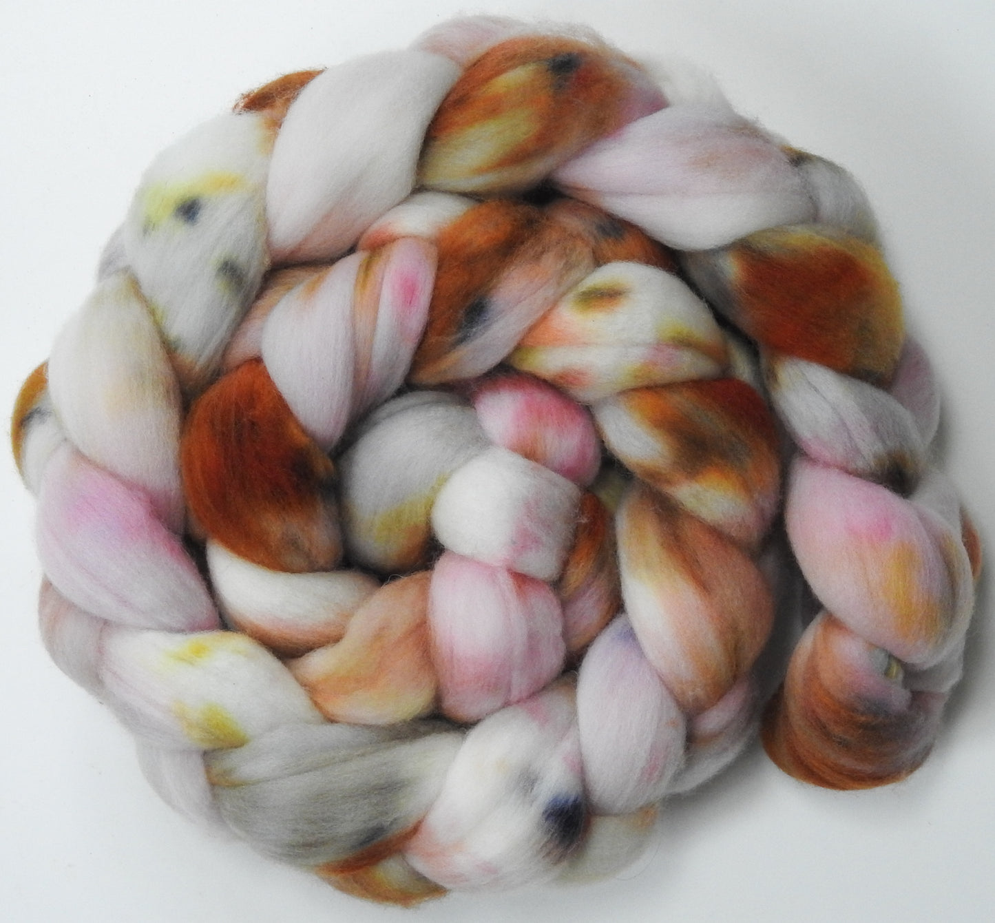 Cockle Shells - (5.7 oz.) Organic Polwarth