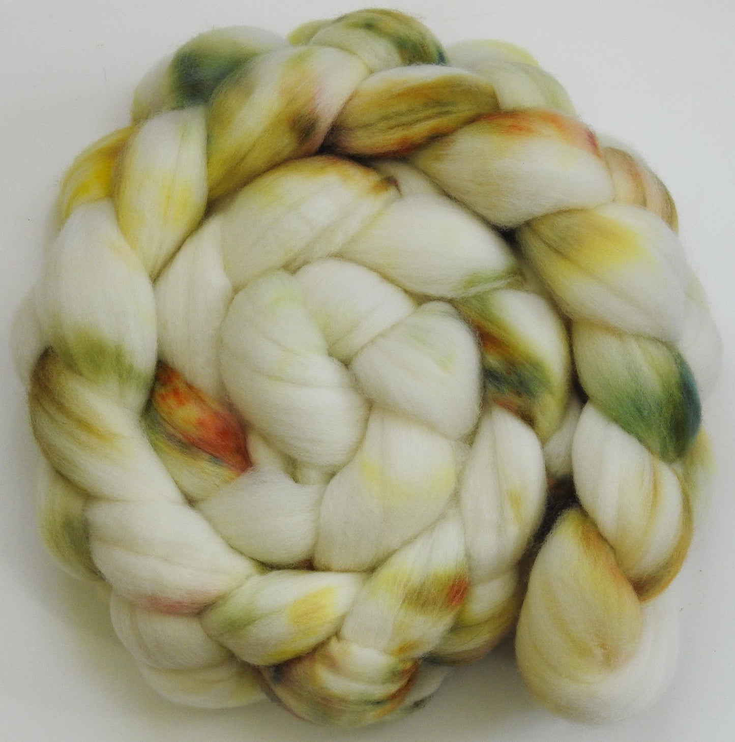 Paperwhite - Organic Polwarth