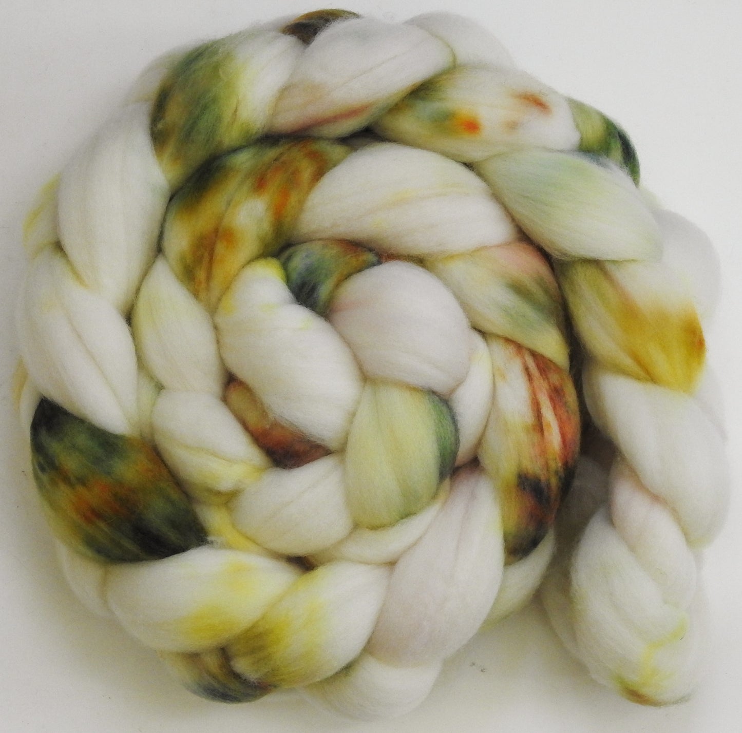 Paperwhite - Organic Polwarth