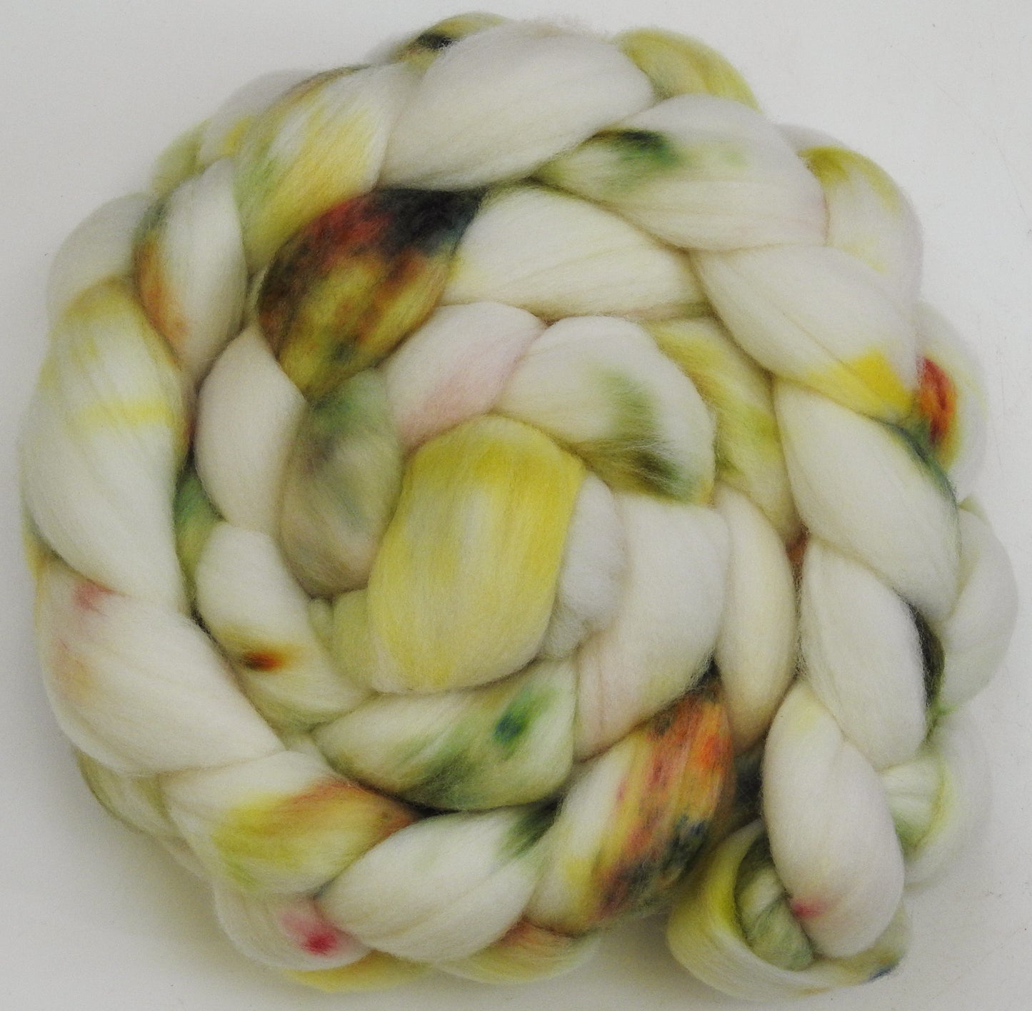 Paperwhite - Organic Polwarth