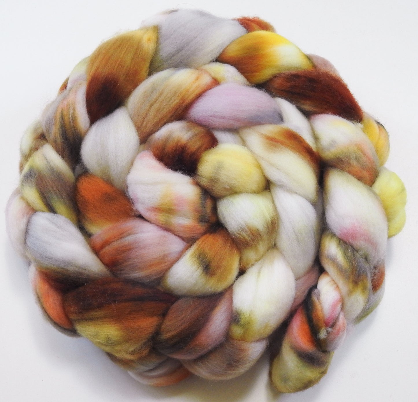 Cockleshells (5.7 oz) - Organic Polwarth