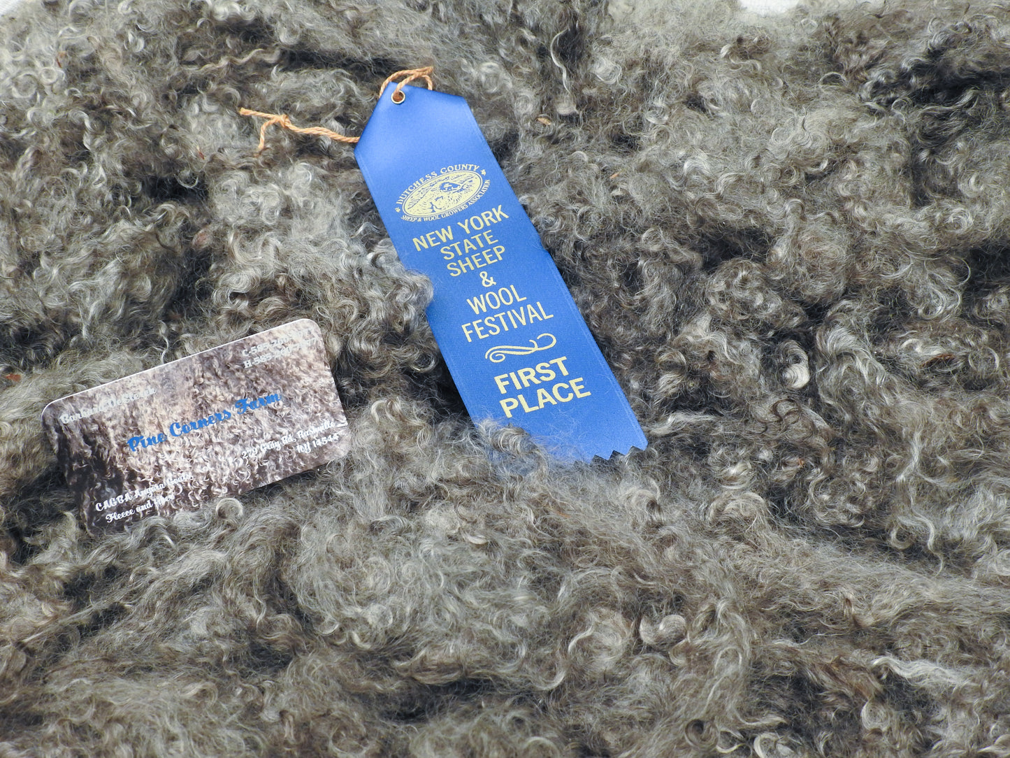 Canada Lynx - Sticklebatts-( 4 oz. ) Mohair Fleece, merino, silk, alpaca, bamboo, manx loaghtan, silk noil - Inglenook Fibers