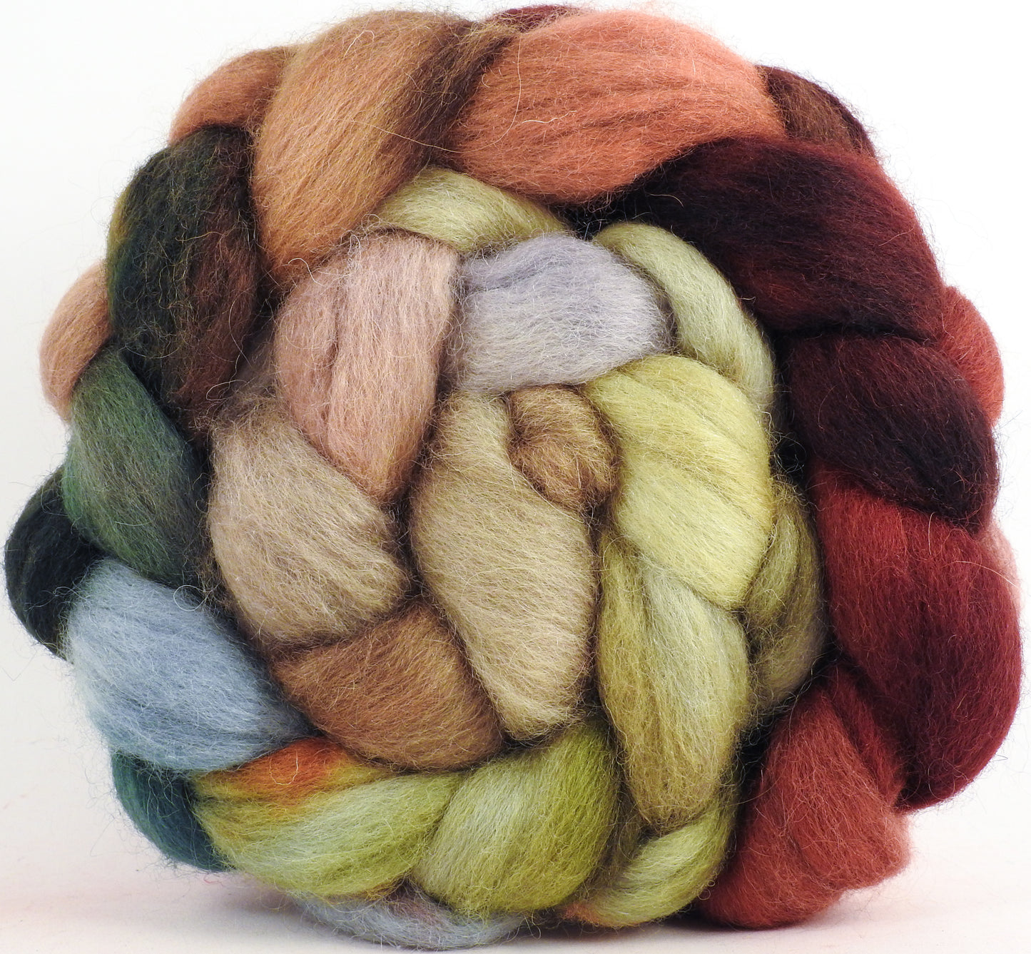 Batt in a Braid #43 - Winter Beech (5.6 oz.) - Dorset/Cheviot/Kid Mohair (60/20/20)