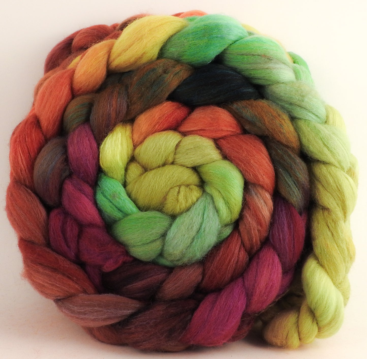 Polwarth /Tussah silk Top (60/40)- Icelandic Poppies -5.6 oz