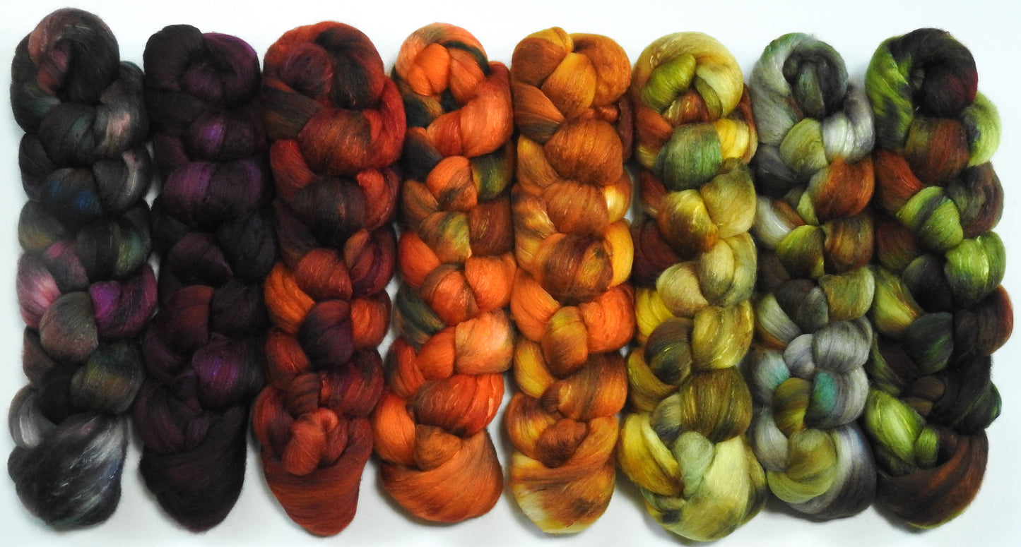 Sing to me, Autumn- Gradient Braid Set - Fusion Series- (12.2 oz.) Organic Polwarth/silk (80/20)