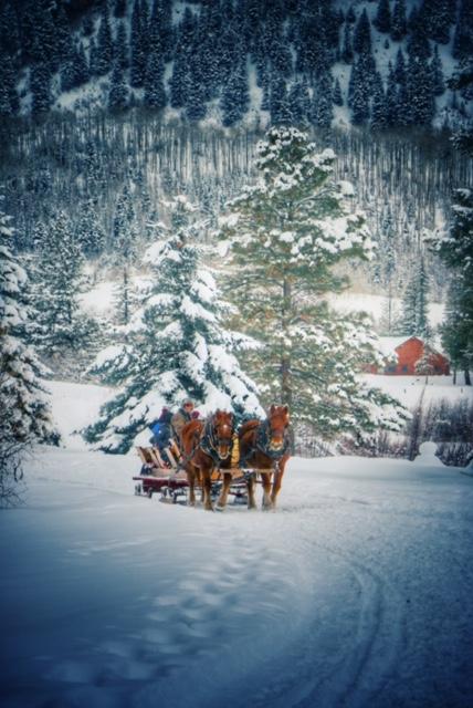 Sleigh Ride - Merino/ Mulberry Silk (60/40)