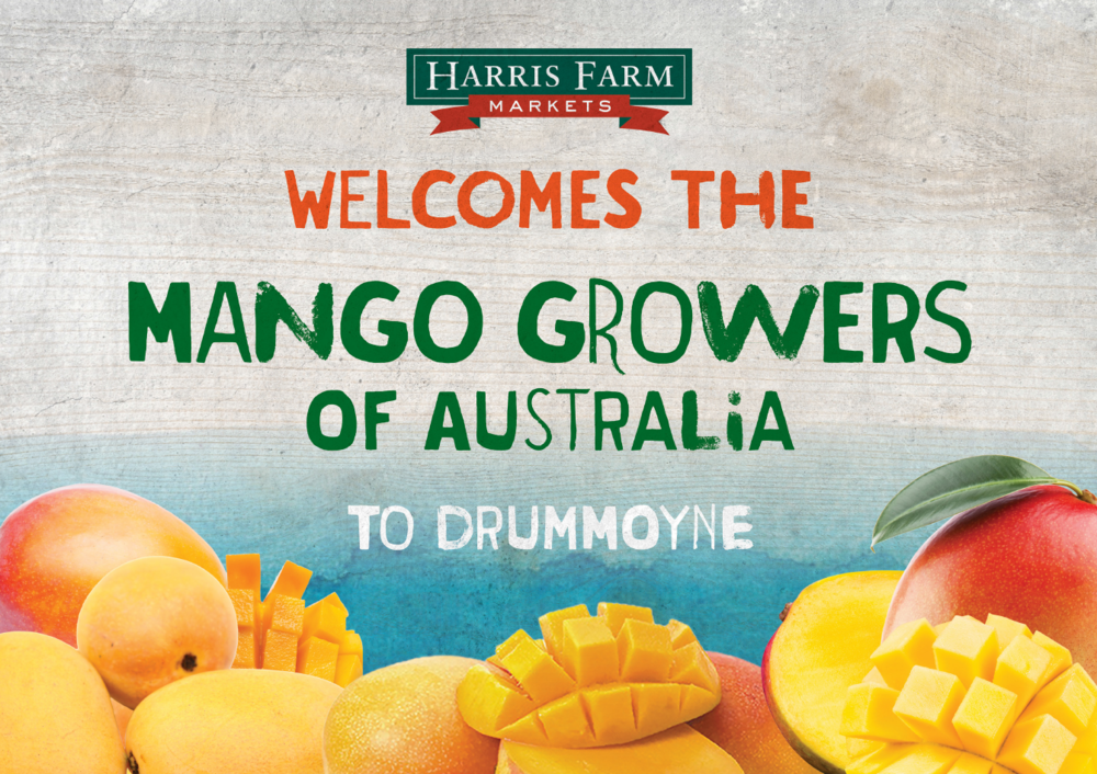 Mango - Roly-Poly Batts- 30% Australian Bond fleece, merino, rambouillet, faux cashmere, silk, bamboo, silk noil, angelina - Inglenook Fibers