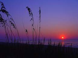 Nightfall -Fusion Series (6 oz.) - British Southdown/ tussah silk top(65/ 35)