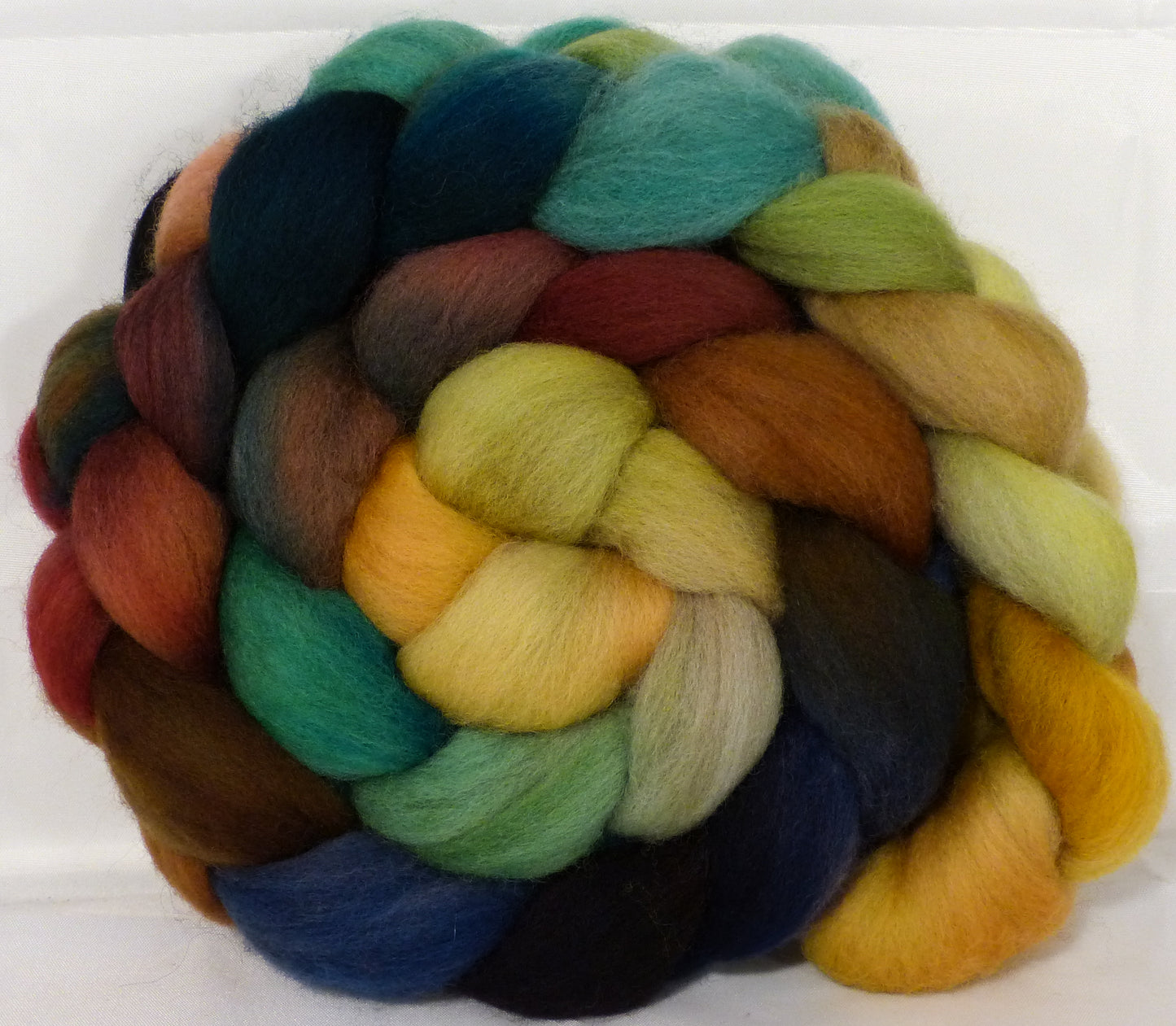 Organic Polwarth Roving (Top) -Toadstools - 4.7 oz. - Inglenook Fibers