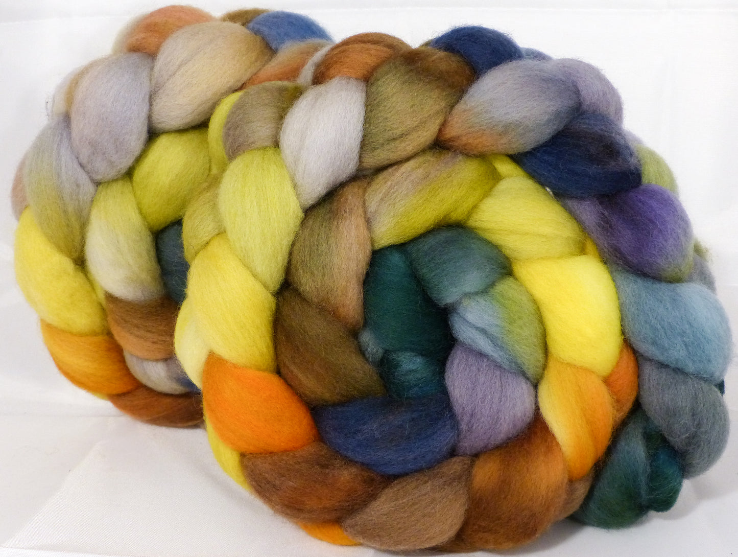 Organic Polwarth Roving (Top) -Golden Chain Tree - 4.7 oz. - Inglenook Fibers