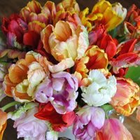 Parrot Tulips - NON-Sparkle Sticklebatts -Camel, merino, polwarth, silk, sari silk, bamboo