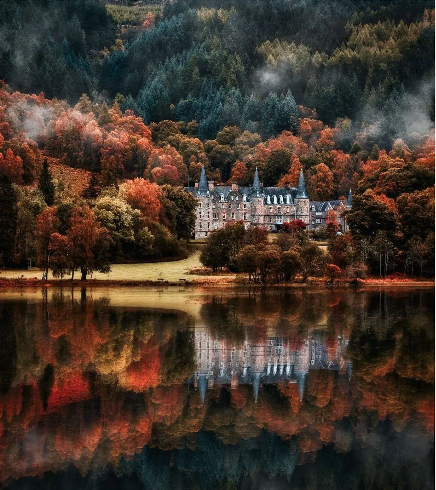 Midst of Fall - Blue-faced Leicester/ Mohair (70/30)