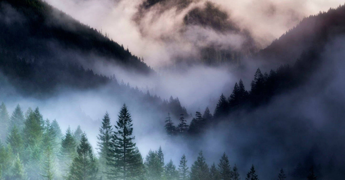 Misty Mountains - Merino/Shetland/Sari and Mulberry silks/Tweed Blend (40/25/25/10)