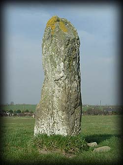 Non-sparkle Sticklebatts -Standing Stones (Cool)- 35% CVM/Rambo/Cotswold/Finn X Fleeces; merino, Bond top,Black Welsh top, silk, bamboo, silk noil