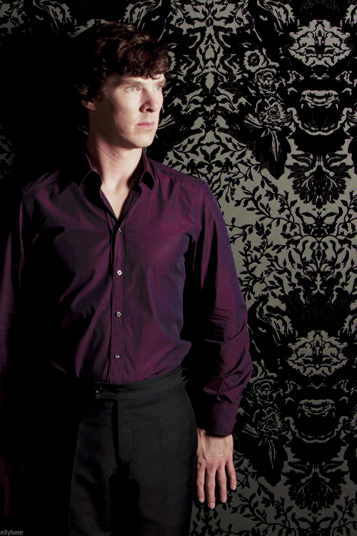 Sherlock (5.7 oz) - Blue-faced Leicester/ Tussah Silk (75/25)
