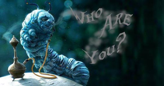 Batt in a Braid #25- The Caterpillar- (5 oz)- De-haired Llama/ Polwarth/ Mulberry Silk (33/33/33 ) - Inglenook Fibers