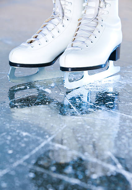 Ice Skating - Merino/ Pearl Fiber/ Tussah Silk/ Icicle Stellina (60/25/10/5 ) - Inglenook Fibers
