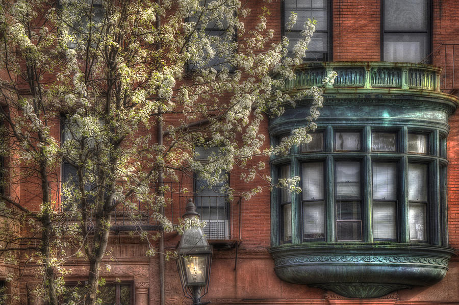 Back Bay (6.1 oz) - Organic Polwarth / Tussah silk (80/20)