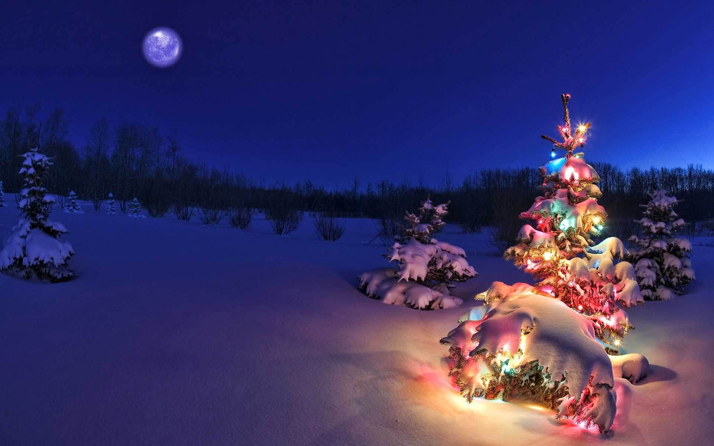 Twinkle Lights (5.1 oz) - Pearl Haunui / Mulberry Silk (70/30)
